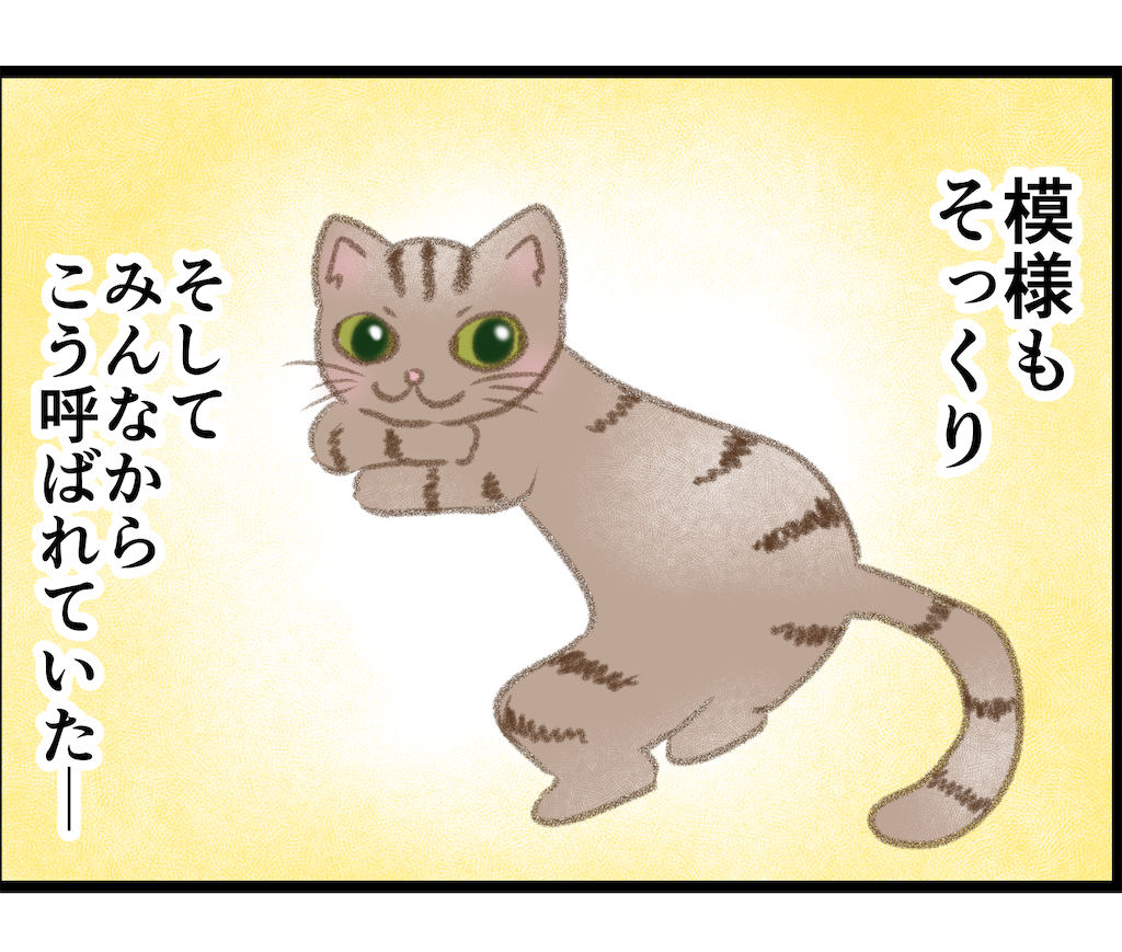 f:id:sherry_piyopiyo:20221025180813p:image f:id:sherry_piyopiyo:20221025180813p:image