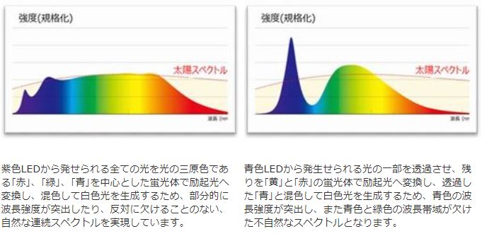 f:id:sherrycat:20180301011809j:plain f:id:sherrycat:20180301011809j:plain