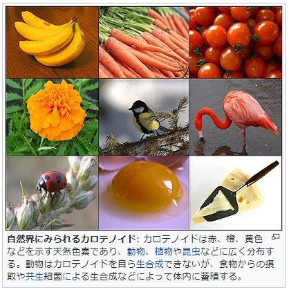 f:id:sherrycat:20180301234031j:plain f:id:sherrycat:20180301234031j:plain