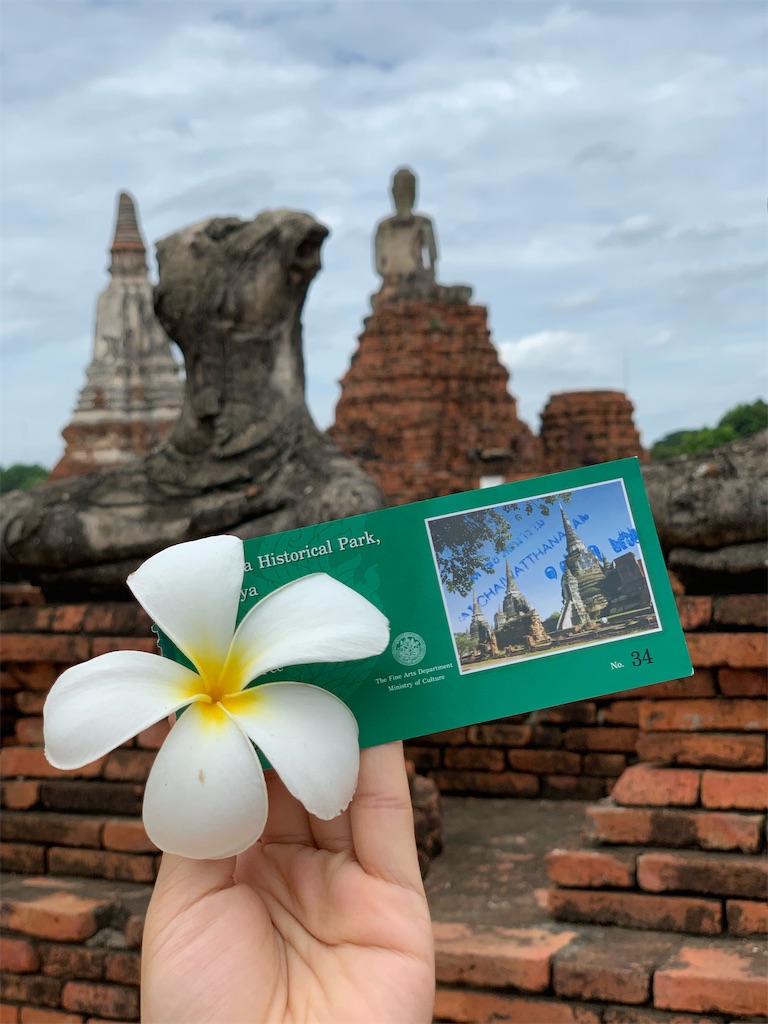 f:id:shespilledmytea:20200901101054j:image