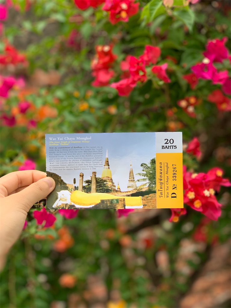 f:id:shespilledmytea:20200901101115j:image