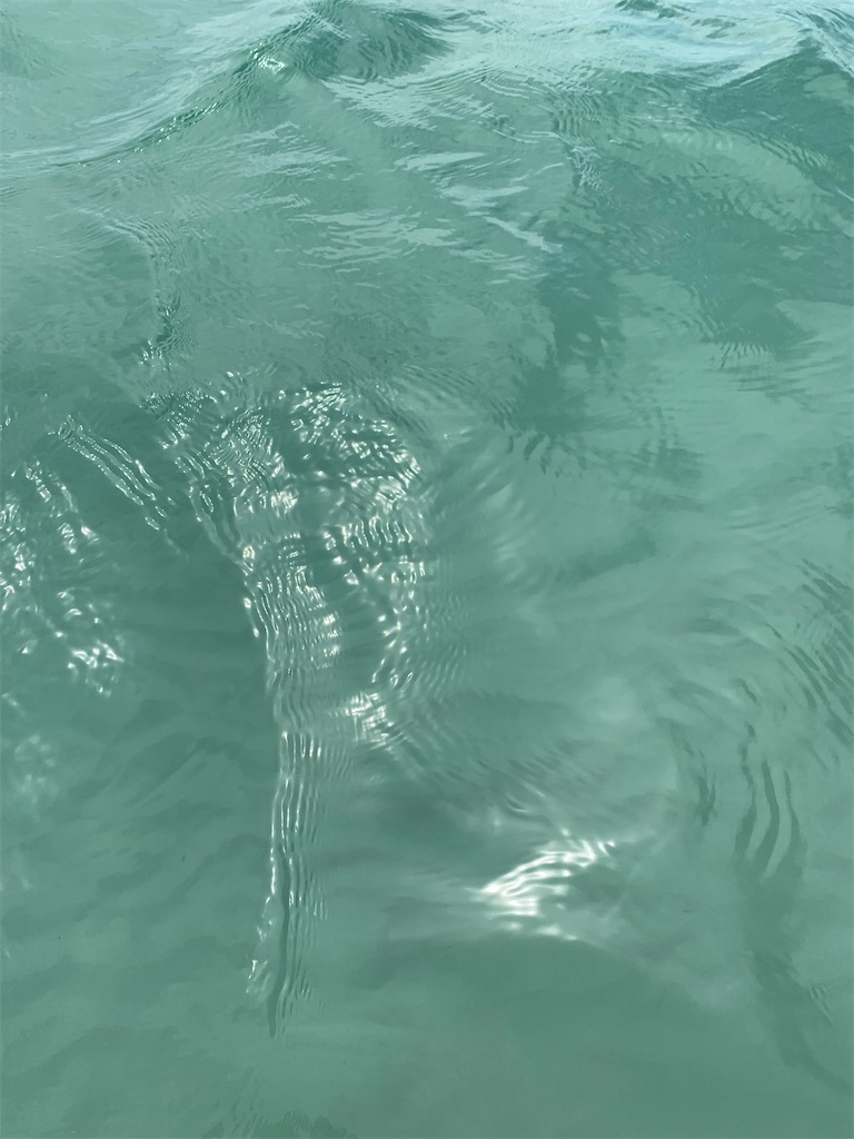 f:id:shespilledmytea:20200901134628j:image