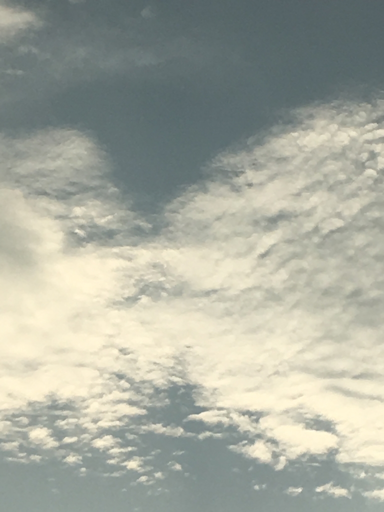 f:id:shespoir:20181110142337j:plain f:id:shespoir:20181110142337j:plain