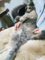 20101125112340