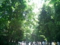 20080720113633