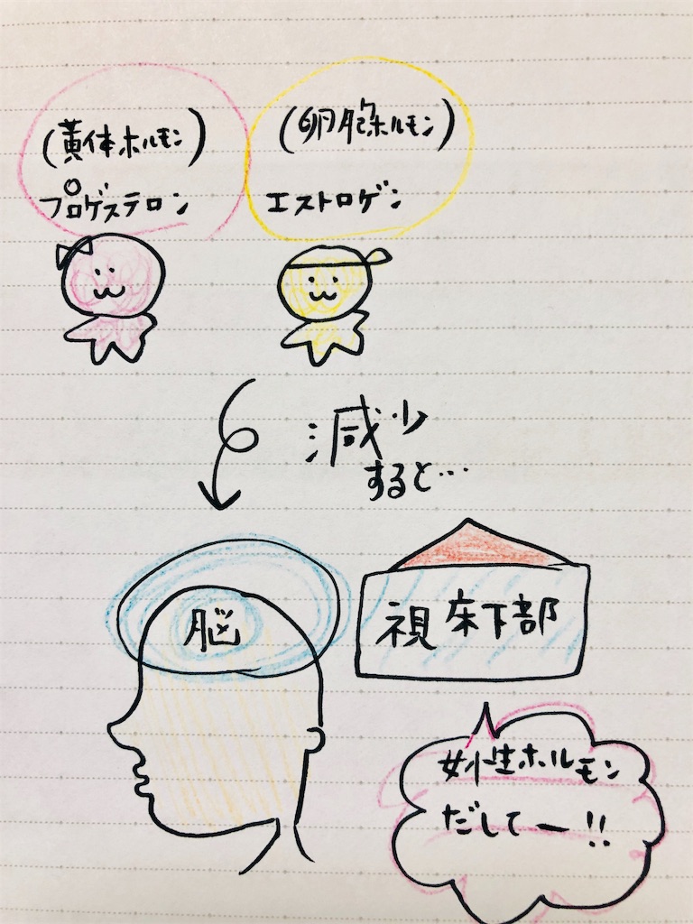 f:id:shi417:20190720164740j:image f:id:shi417:20190720164740j:image