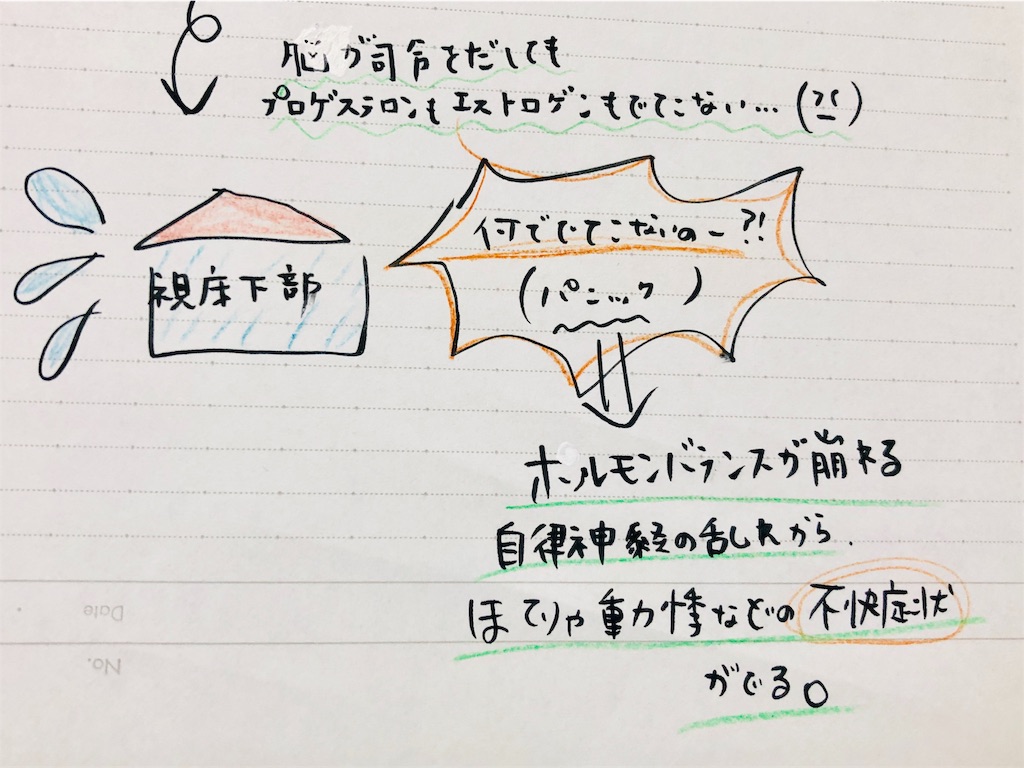 f:id:shi417:20190720164743j:image f:id:shi417:20190720164743j:image