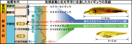 f:id:shi_haraba:20060919233002j:image