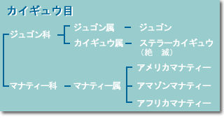 f:id:shi_haraba:20060920002011g:image