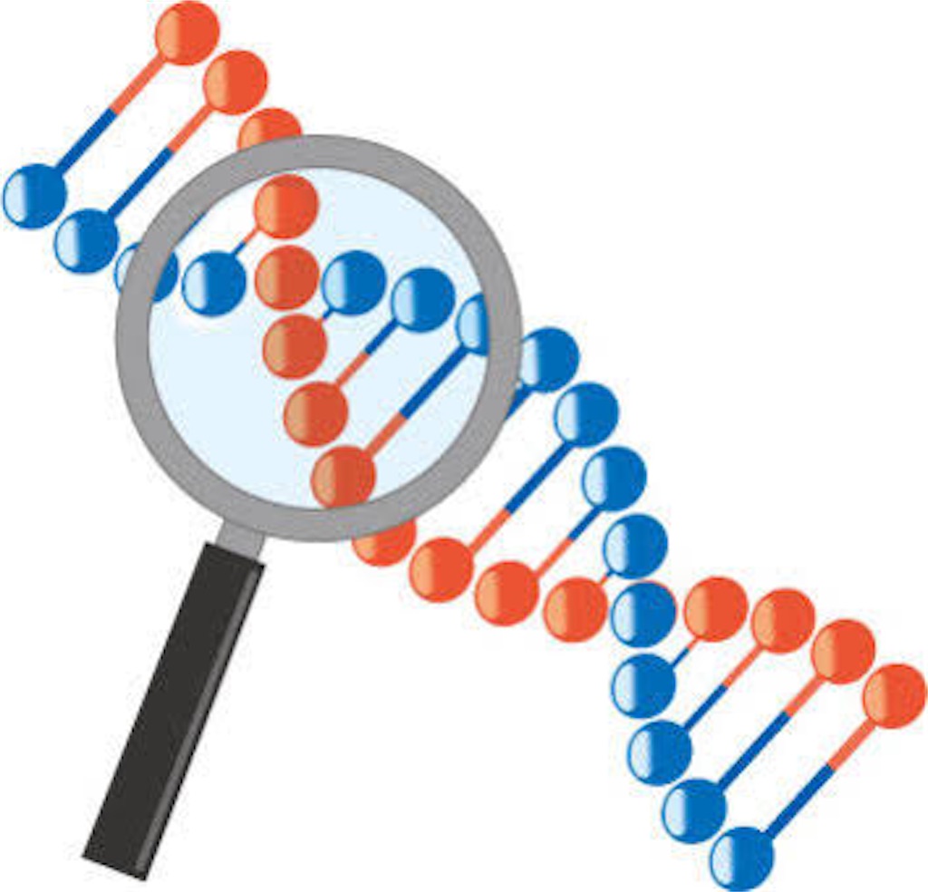 f:id:shiawasehanarabimake:20210924215010j:image