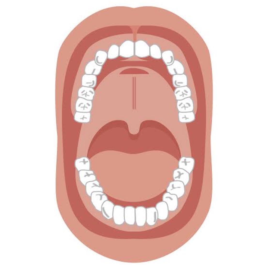 f:id:shiawasehanarabimake:20211001080038j:image