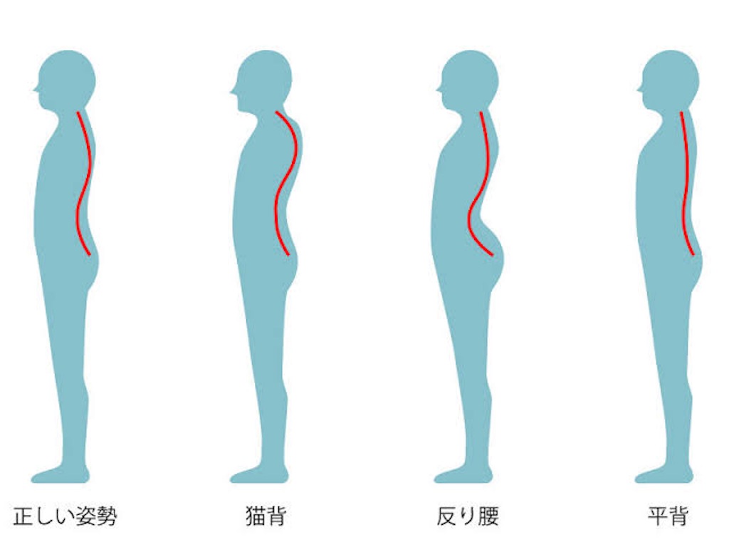 f:id:shiawasehanarabimake:20211006130810j:image