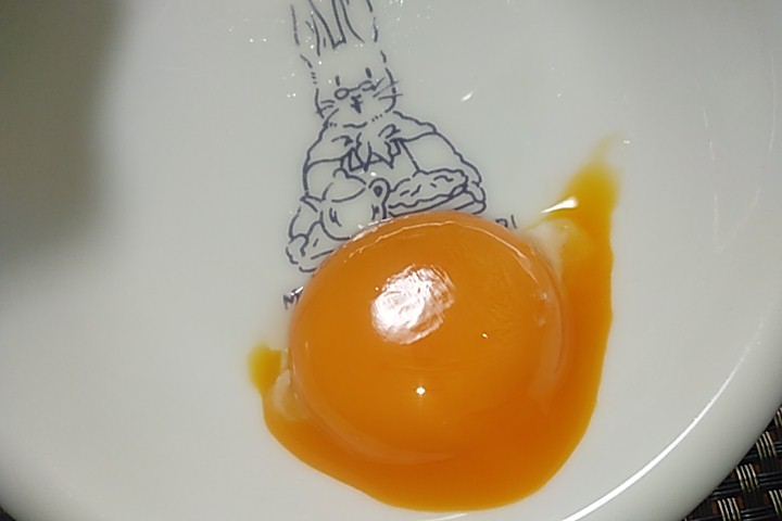f:id:shiba-ken-gaooo:20220101082311j:plain