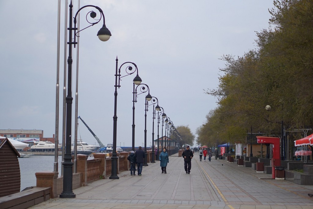 f:id:shiba-yan:20171028094921j:plain