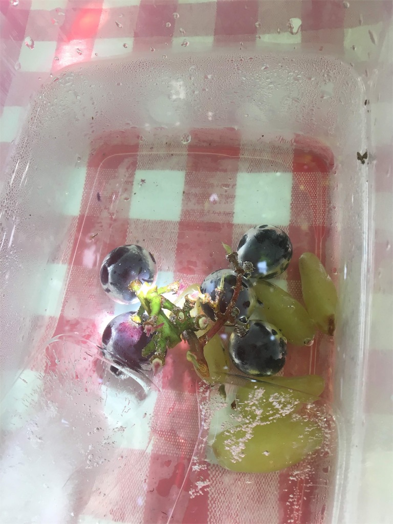 f:id:shiba346:20191029190431j:image f:id:shiba346:20191029190431j:image