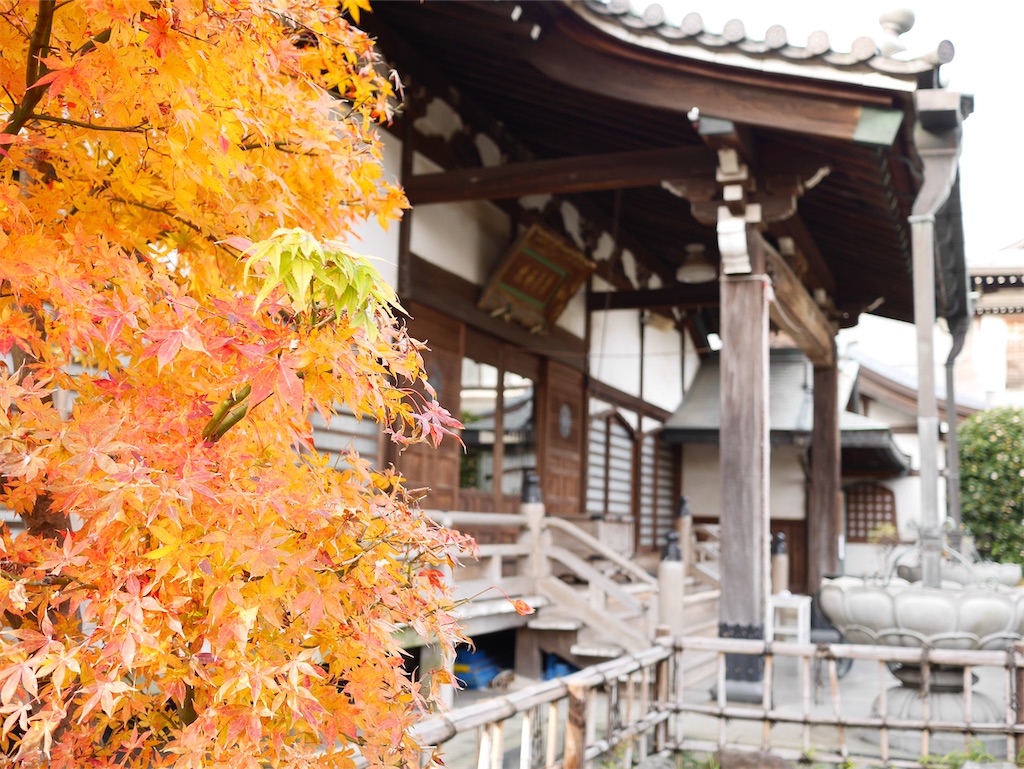f:id:shiba346:20191214190706j:image f:id:shiba346:20191214190706j:image