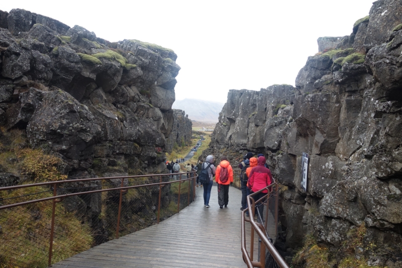 f:id:shiba_yu36:20161013060156j:plain