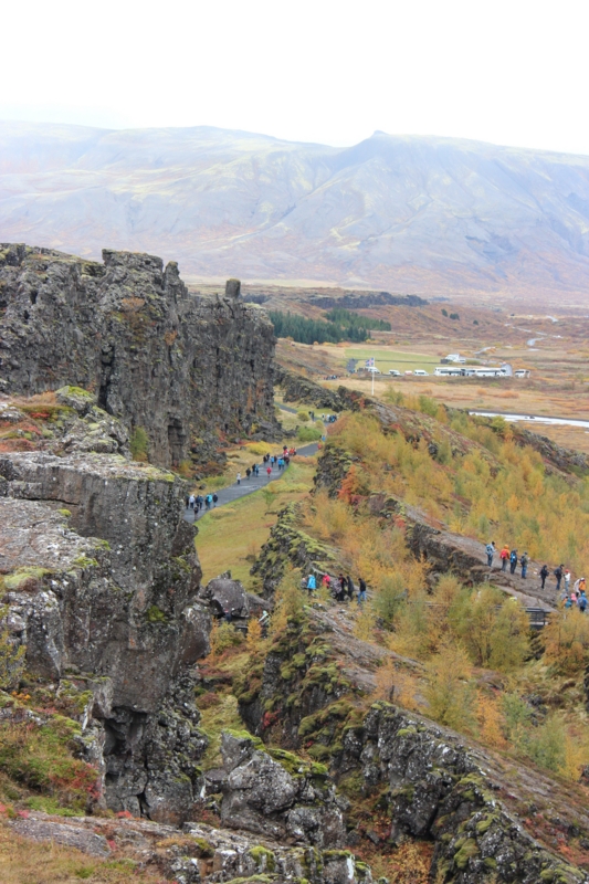 f:id:shiba_yu36:20161013060159j:plain