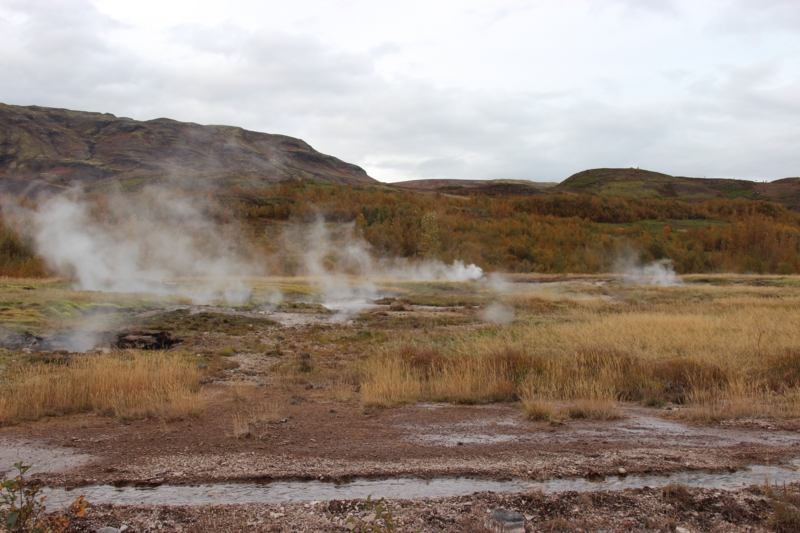 f:id:shiba_yu36:20161013060201j:plain