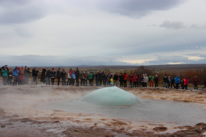 f:id:shiba_yu36:20161013060202j:plain