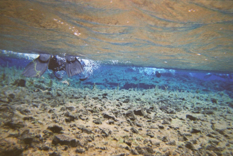 f:id:shiba_yu36:20161013060206j:plain