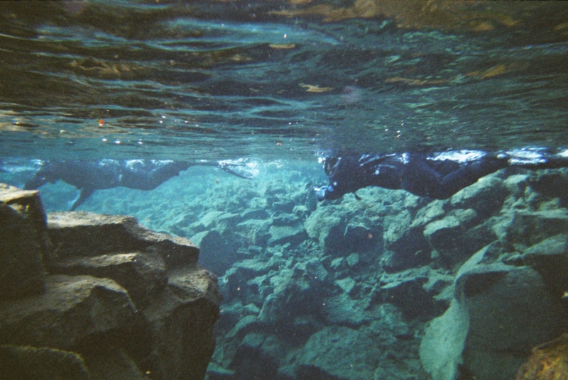 f:id:shiba_yu36:20161013060208j:plain