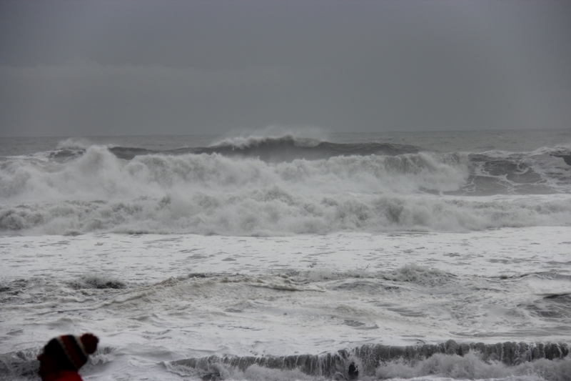 f:id:shiba_yu36:20161013060221j:plain