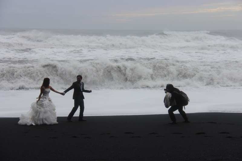 f:id:shiba_yu36:20161013060222j:plain