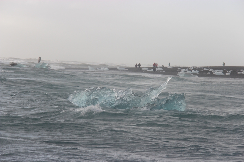 f:id:shiba_yu36:20161013060225j:plain