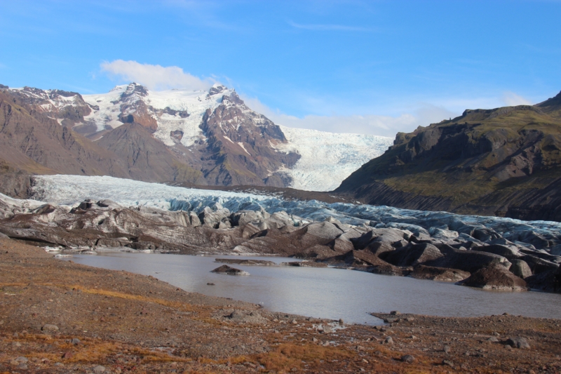 f:id:shiba_yu36:20161013060227j:plain