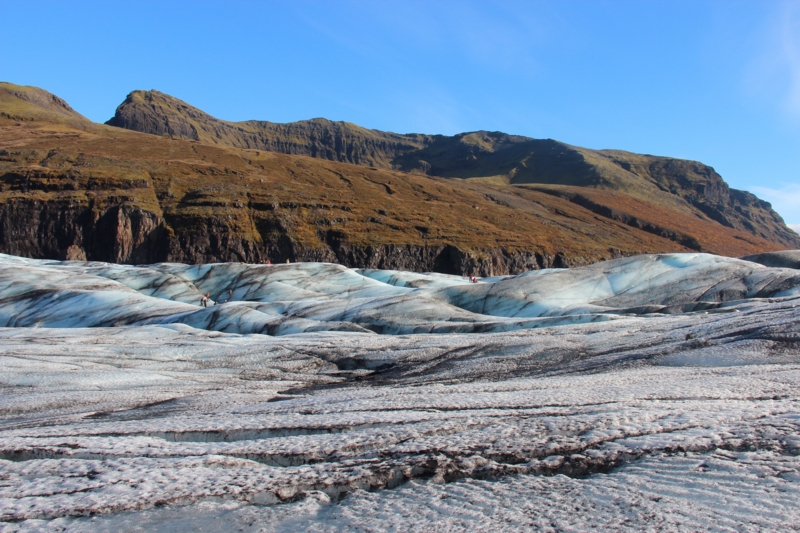 f:id:shiba_yu36:20161013060230j:plain