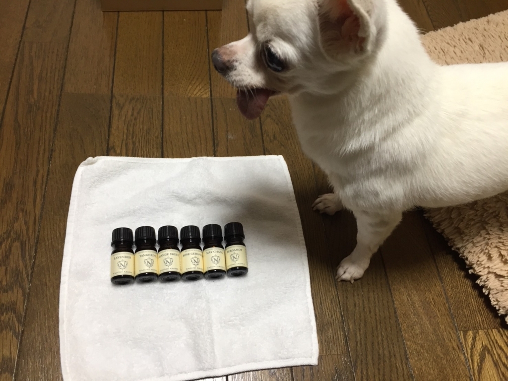 オススメ 加湿器 アロマディフューザー ペットの匂い対策にも Mild Smile