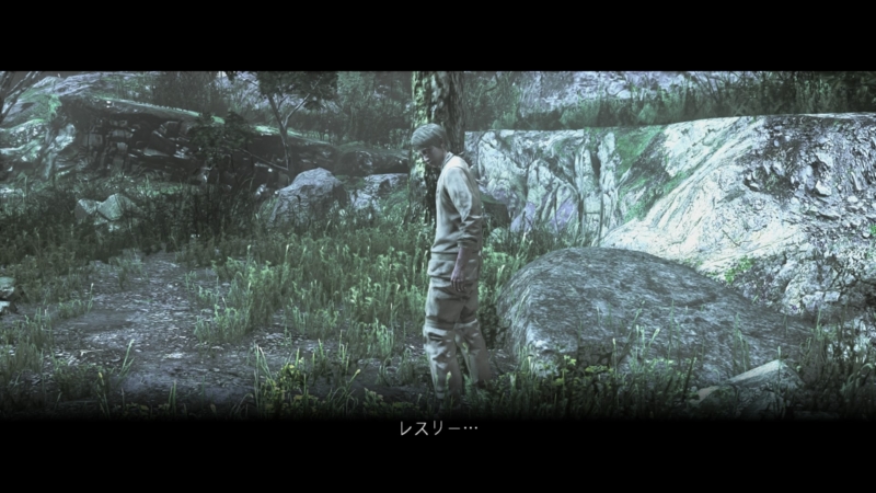 f:id:shibadog55:20150312212737j:plain