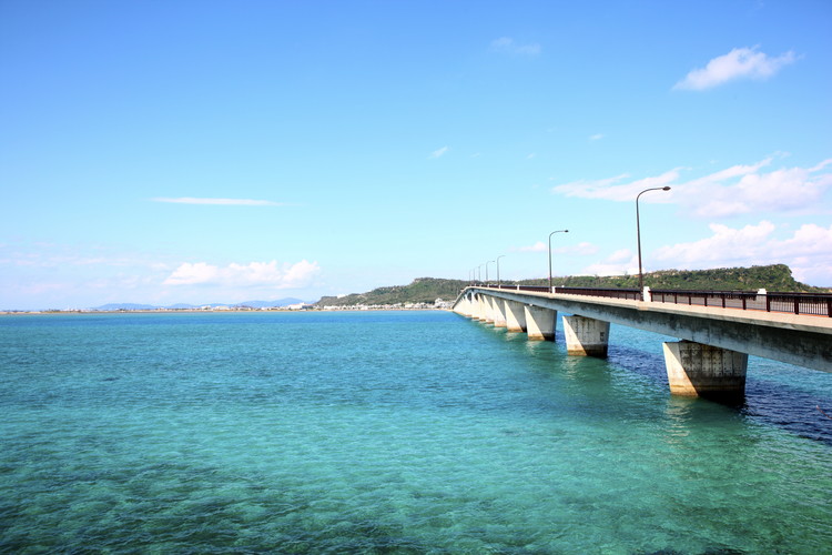 f:id:shibagakitoshi:20201010000344j:plain