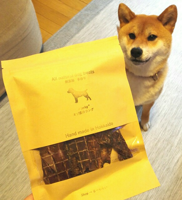 f:id:shibainumugi:20190623161232j:image