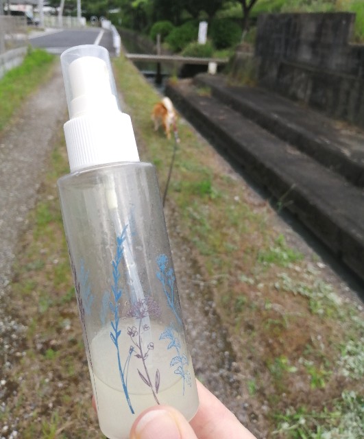 効果はあるのか 気休めか 虫対策にヒバ水スプレー うちの犬 気まぐれ柴犬麦の日記