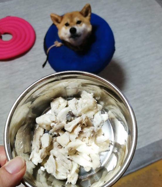 美術品・アンティーク・コレクション 犬に鯛 焼物