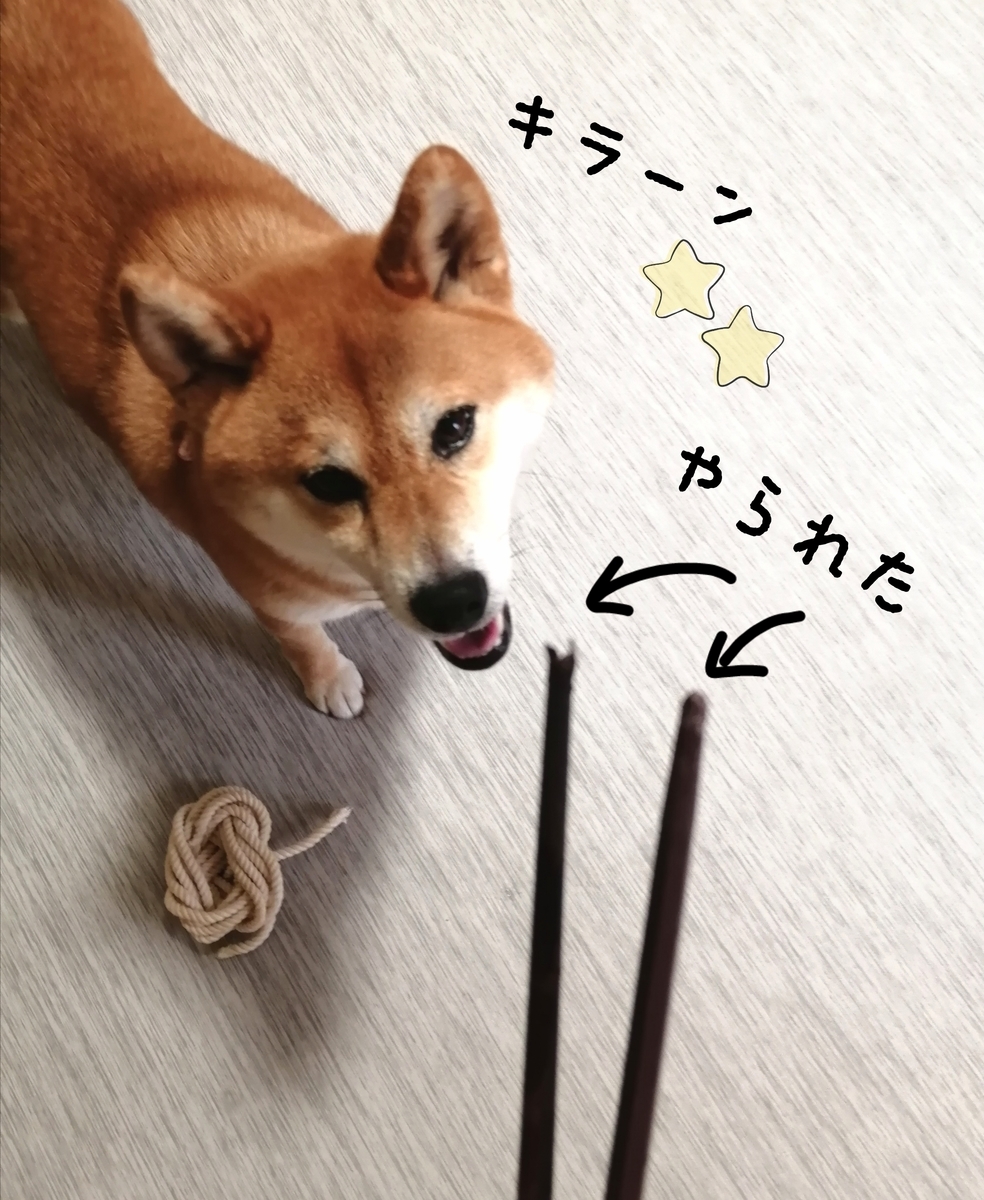 f:id:shibainumugi:20210716105156j:plain