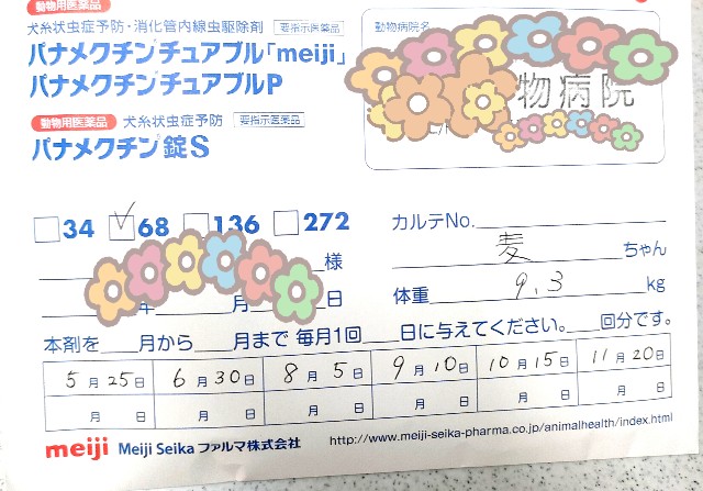 f:id:shibainumugi:20240525215025j:image