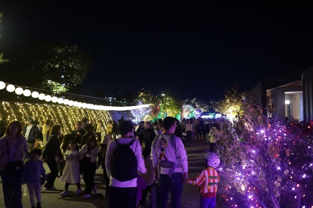 f:id:shibainumugi:20241110145203j:image