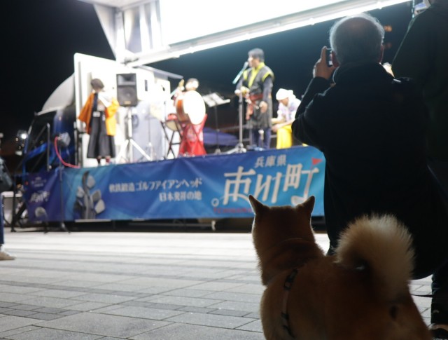f:id:shibainumugi:20241110161623j:image