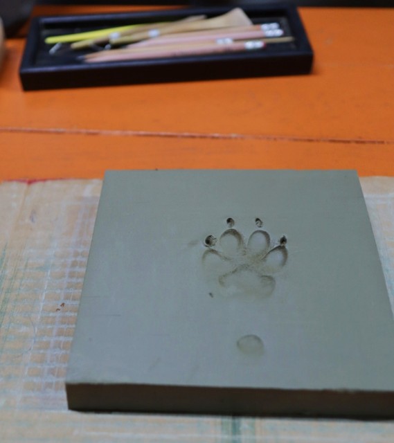 f:id:shibainumugi:20241215150736j:image