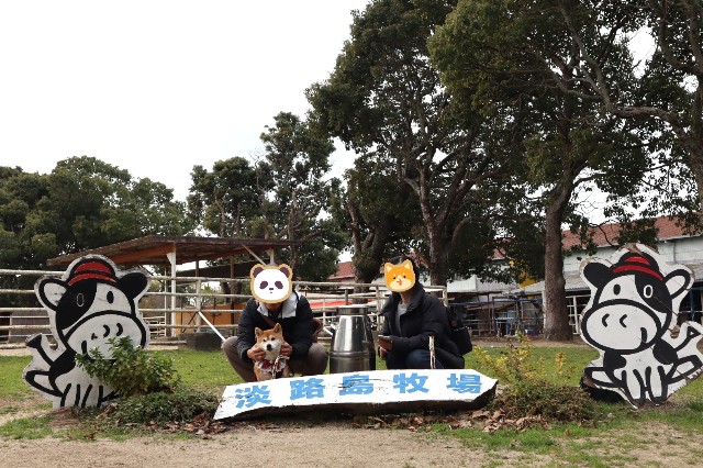 f:id:shibainumugi:20241215153033j:image