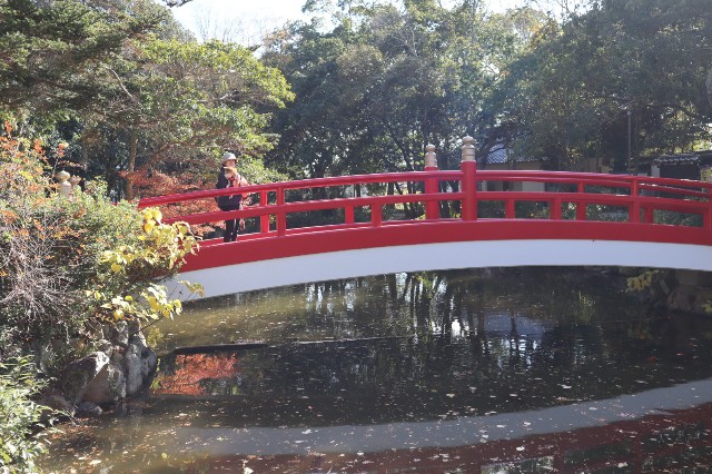 f:id:shibainumugi:20241217210811j:image