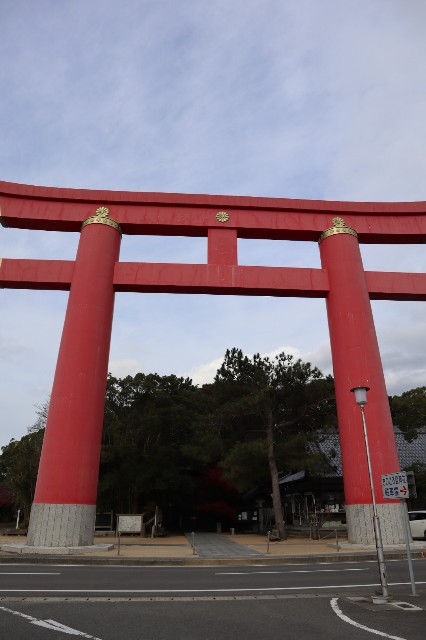 f:id:shibainumugi:20241217210834j:image