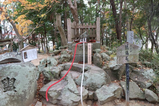 f:id:shibainumugi:20241217210901j:image