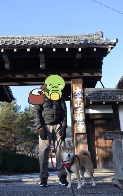f:id:shibainumugi:20250102151823j:image