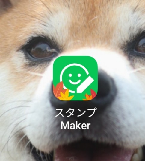 f:id:shibainumugi:20250109125916j:image