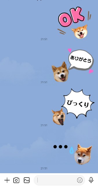 f:id:shibainumugi:20250109130629j:image