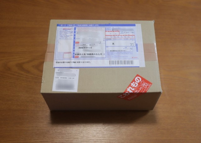 f:id:shibainumugi:20250303211817j:image